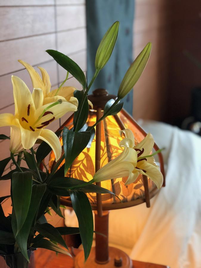 Tomonoya Ishigaki Villa Ishigaki  Екстериор снимка